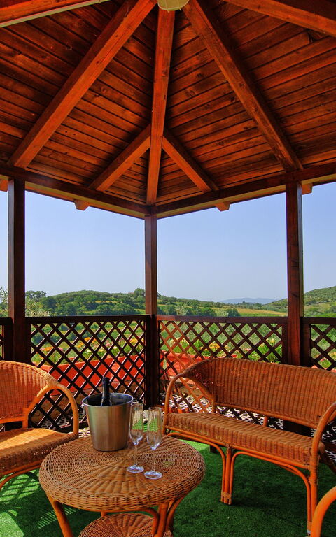 Villa Uccellaia: Balcone / Terrazza / Patio