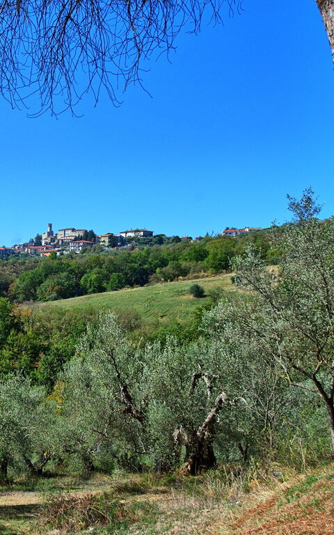 Villa Uccellaia: all'aperto, Giardino, Vista Panoramica