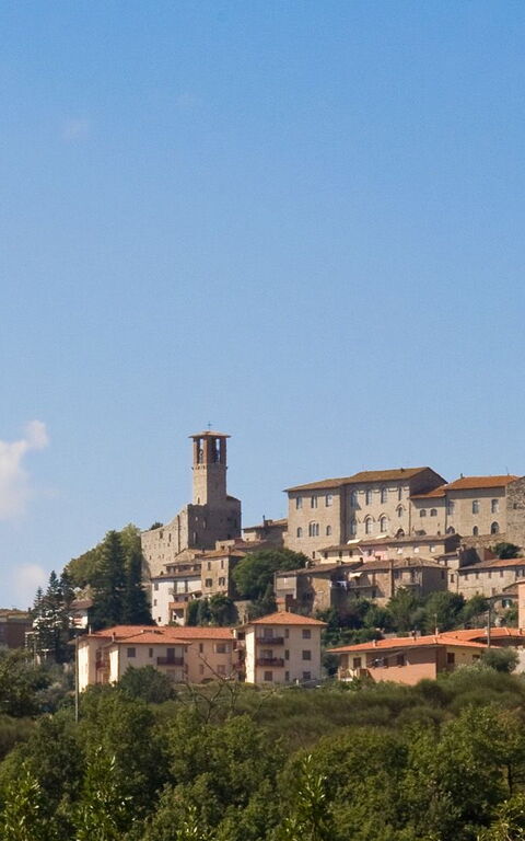 Villa Uccellaia: Vista Panoramica
