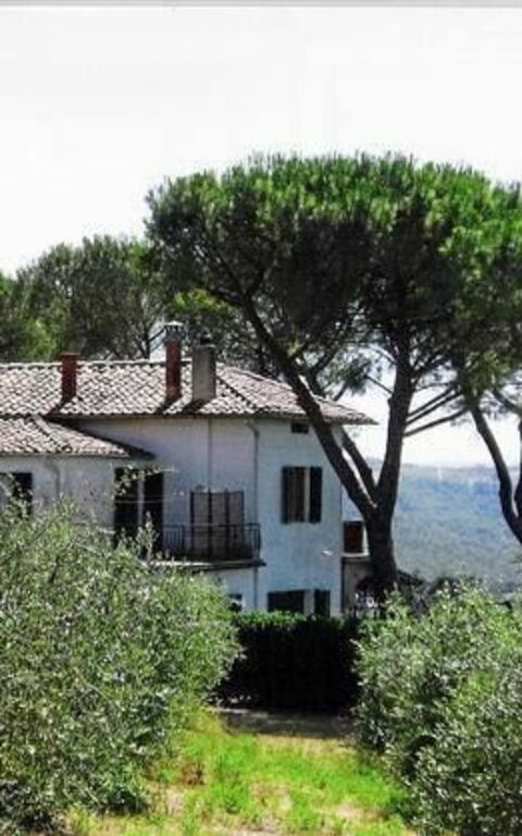 Villa Treppiè: Esterni, Giardino