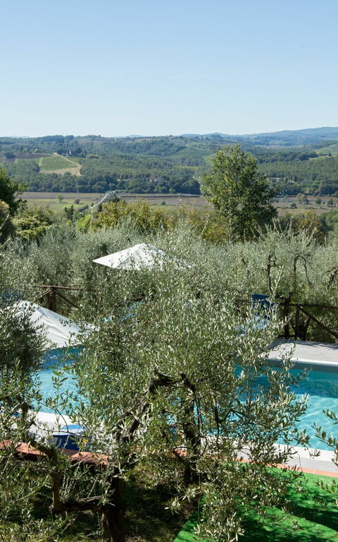 Villa Treppiè: Giardino, Piscina
