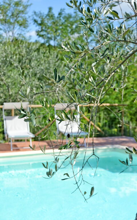 Il Fienile Di Giovanna: Piscina