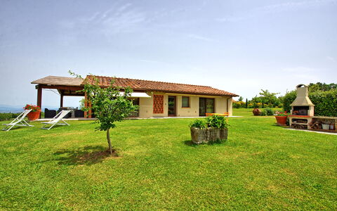 Alloggio Marcello: all'aperto, Estate, Esterni, Giardino