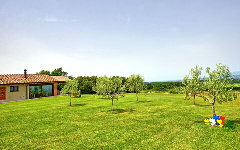 Alloggio Marcello: all'aperto, Estate, Esterni, Giardino