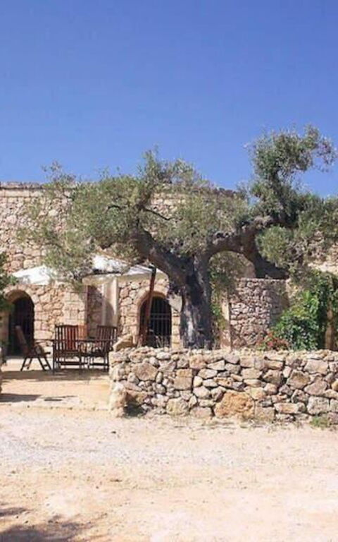 Tia Trullo: all'aperto, Giardino