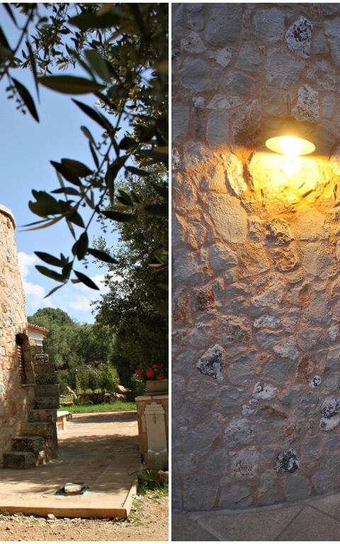 Villa Serena Maria: all'aperto, Esterni, Giardino