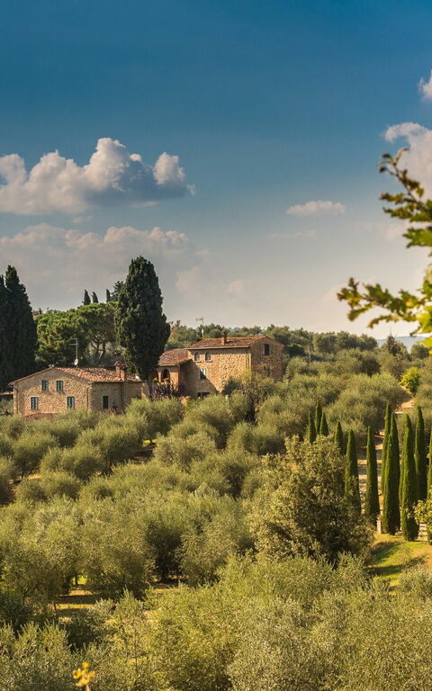 Villa Poggiospinoso: Vista Panoramica