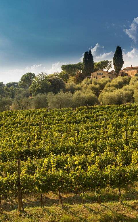 Villa Poggiospinoso: Vista Panoramica