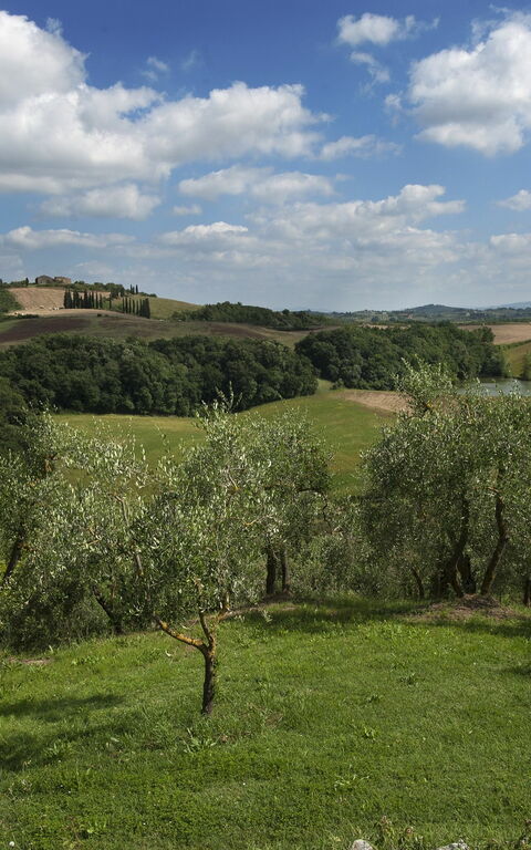 Tenuta Cambiano: Vista Panoramica