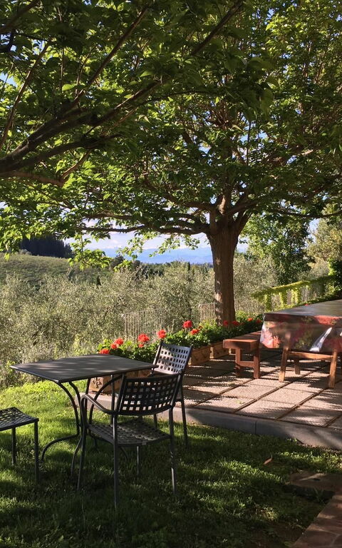 Tenuta Cambiano: all'aperto, Caratteristiche, Giardino