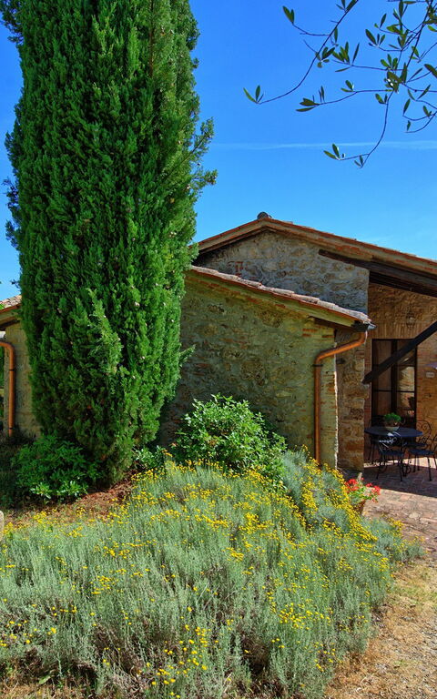 Villa Sarteano: Esterni