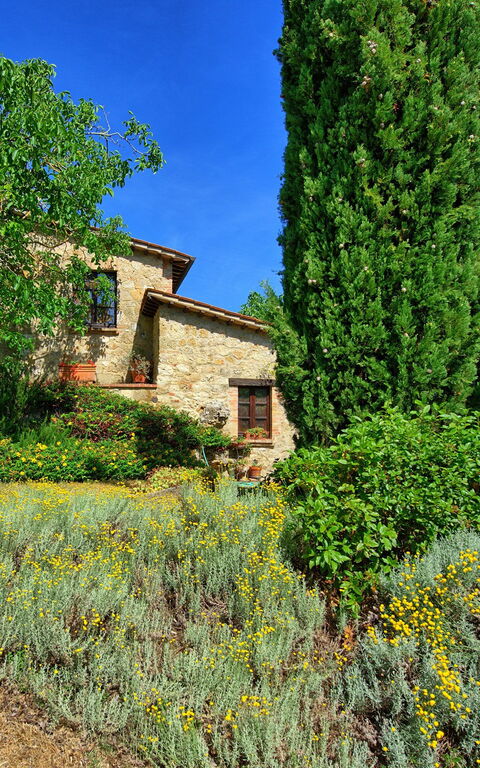 Villa Sarteano: Esterni, Giardino