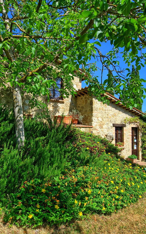 Villa Sarteano: Giardino