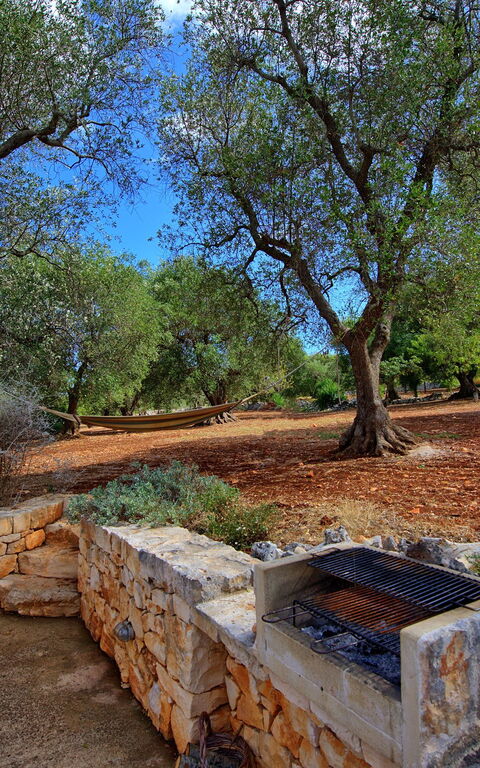Trullo Pascarosa: Giardino
