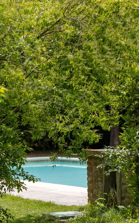 Casale Tiziano: all'aperto, Esterni, Giardino, Piscina