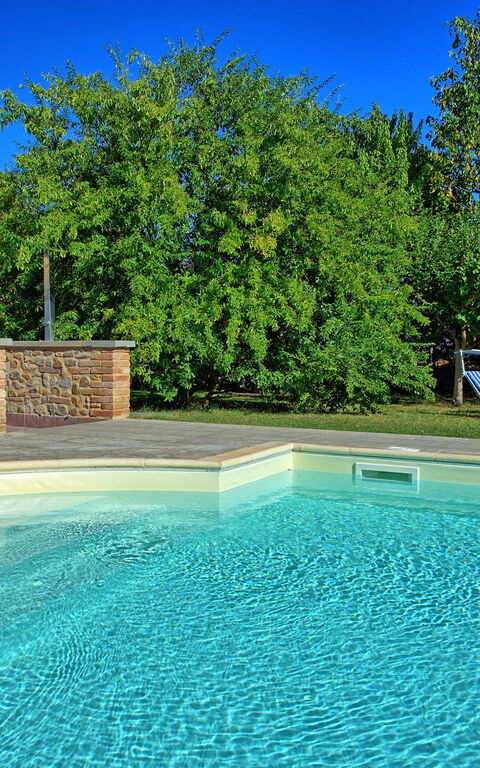 Casale Tiziano: Giardino, Piscina