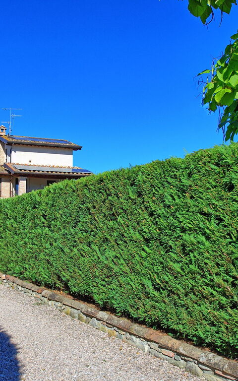 Casale Tiziano: all'aperto