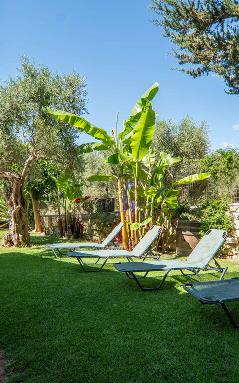Villa Vrisses: all'aperto, Giardino, Piscina