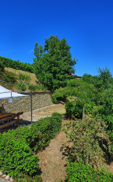 Borgo Veronica: Giardino