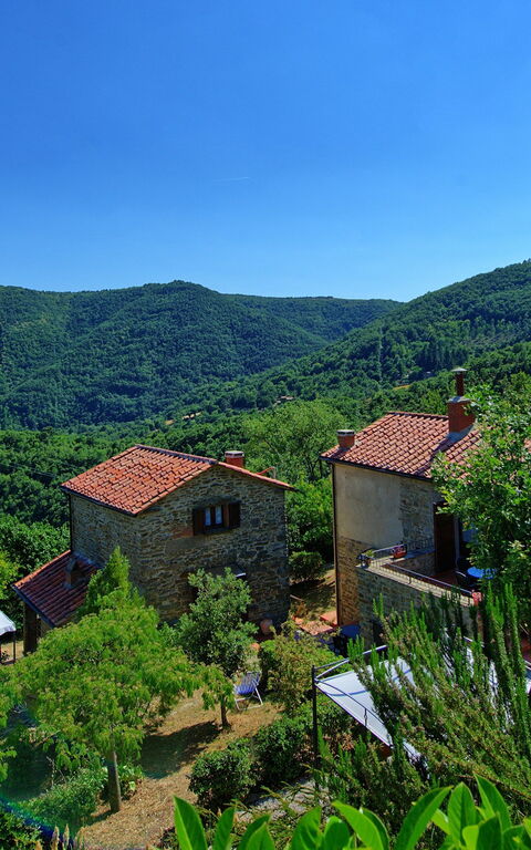 Borgo Veronica: Giardino
