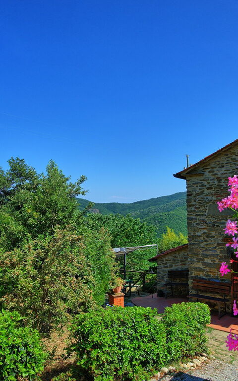Borgo Veronica: Esterni, Giardino