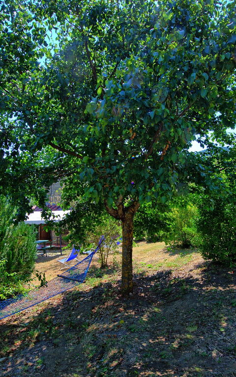 Borgo Veronica: Giardino