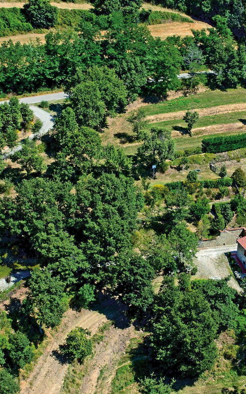 Borgo Veronica: Vista Panoramica