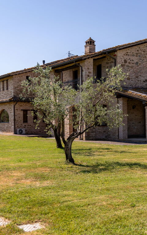 Villa Assisi: all'aperto, Esterni, Giardino