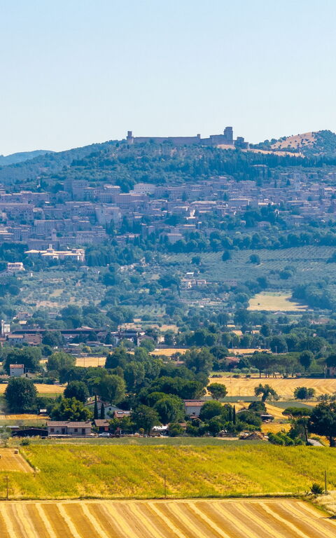 Villa Assisi: Vista Panoramica
