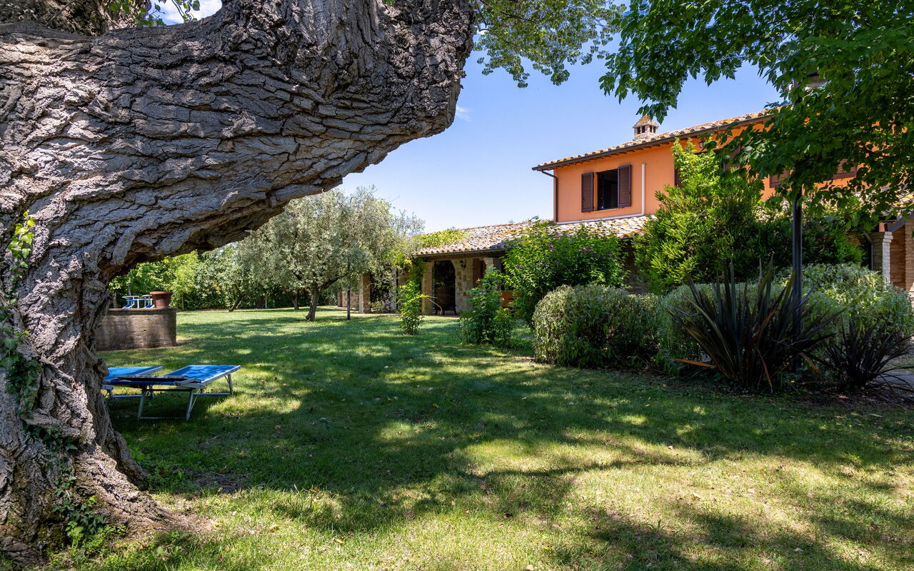 Villa Reale: all'aperto, Esterni, Giardino