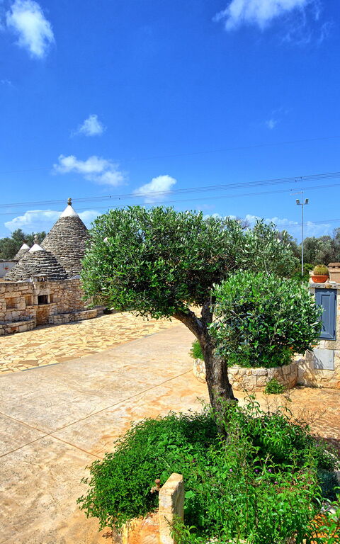 Trullo Santo Stefano: all'aperto, Giardino