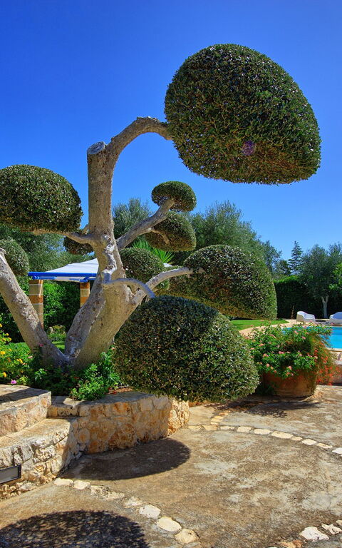 Lamia Santo Arcangelo: Giardino