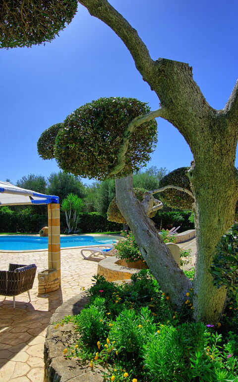 Lamia Santo Arcangelo: Esterni, Giardino, Piscina