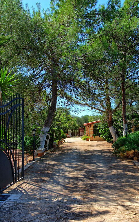 Lamia Santo Arcangelo: Giardino