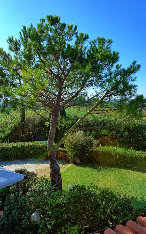 Casa Vasco: Vista Panoramica