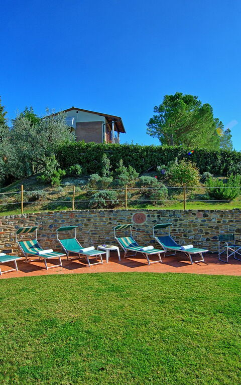 Casa Vasco: Giardino