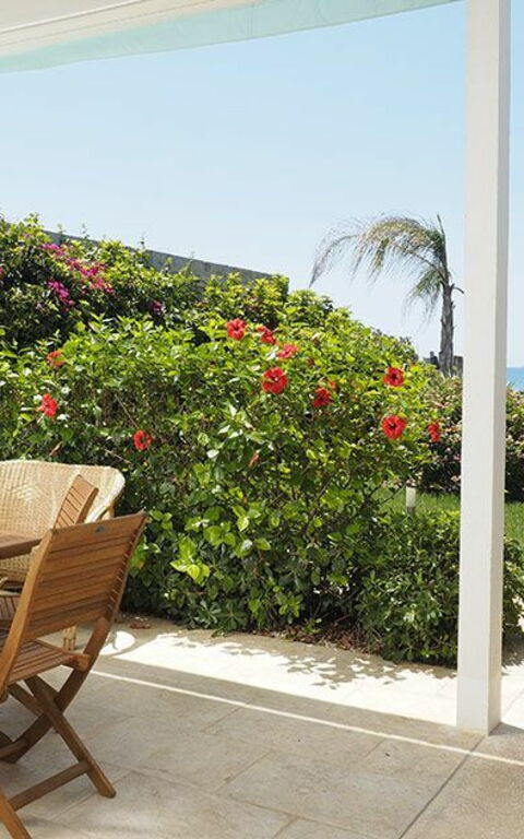 Villa Ariel: all'aperto, Giardino