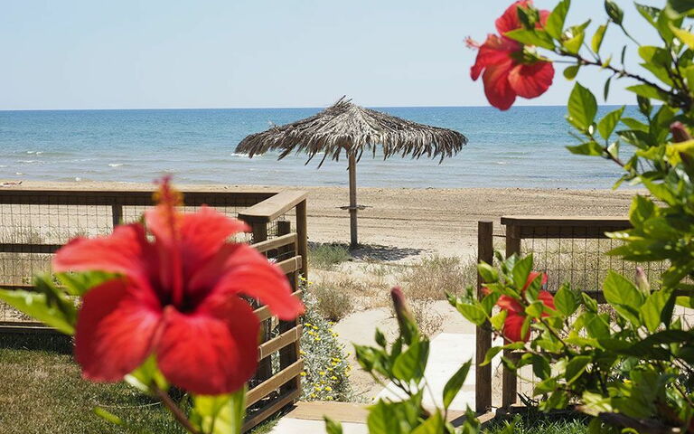 Villa Ariel: all'aperto