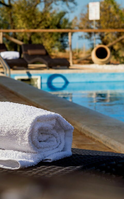 Villa Le Muse: Piscina