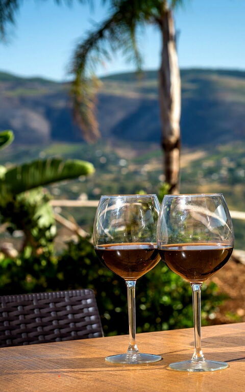 Villa Le Muse: all'aperto