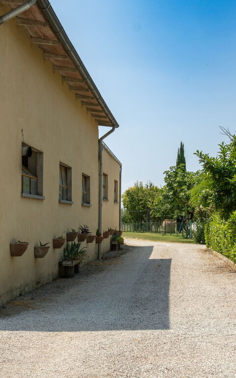 Casale Miro: all'aperto, Esterni