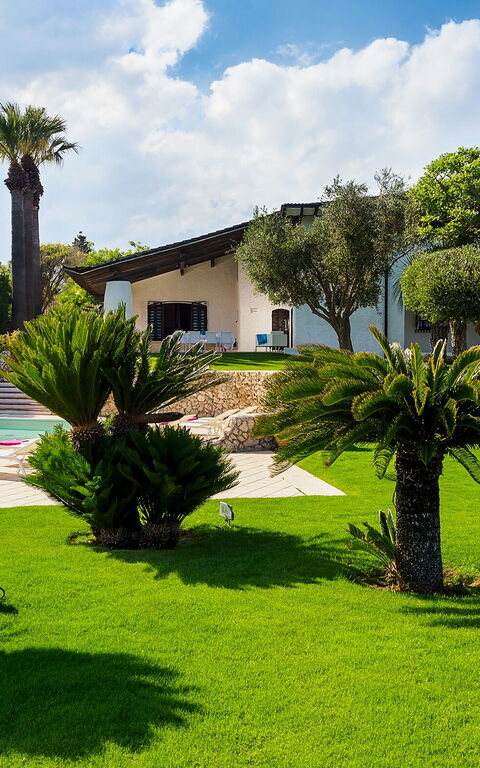 Blu Moon: all'aperto, Esterni, Giardino, Piscina