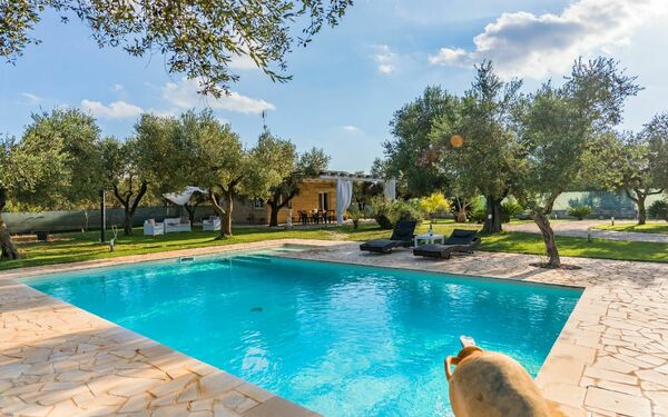 Villa Safiria: Piscina