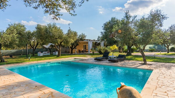 Villa Safiria: Piscina