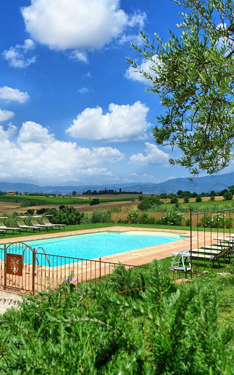 Villa Farneta: Piscina