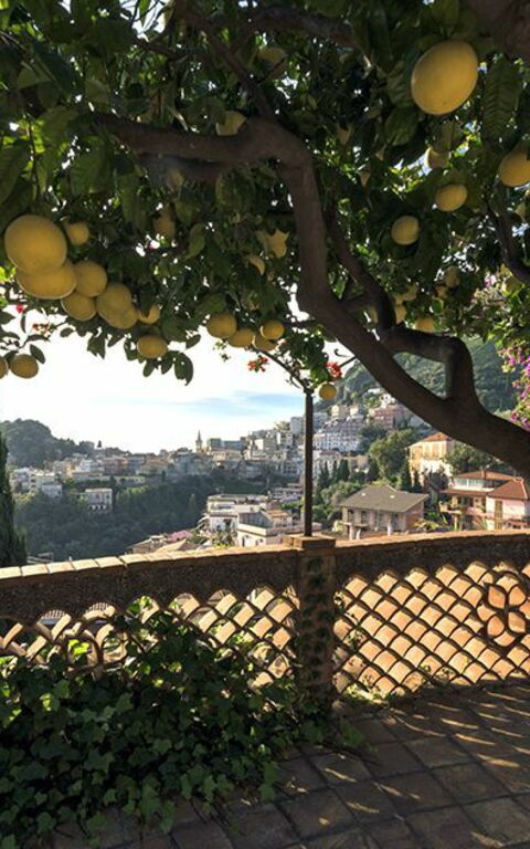 Villa La Boheme: Giardino, Vista Panoramica