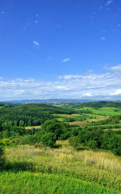 Casa Legoli: Giardino
