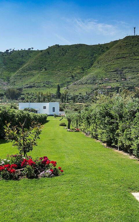 Villa Nettuno: all'aperto, Giardino