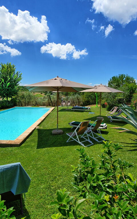 Villa Sonia: all'aperto, Piscina