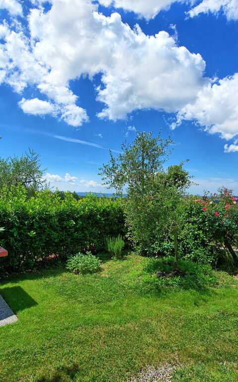 Villa Sonia: all'aperto